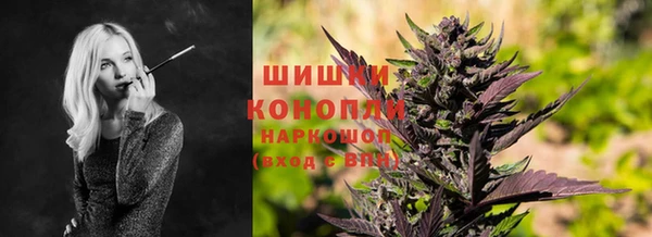 PSILOCYBIN Богородск
