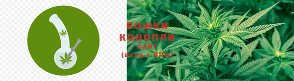PSILOCYBIN Богородск