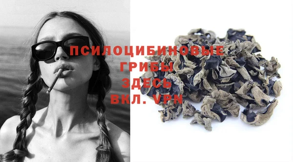 героин Богданович